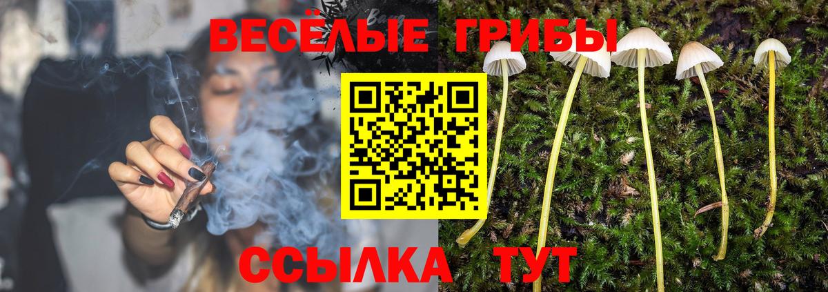 Галлюциногенные грибы прущие грибы Челябинск