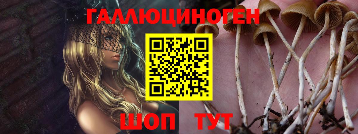 Псилоцибиновые грибы Psilocybe  Псилоцибиновые грибы прущие грибы  Челябинск  Вход с VPN 